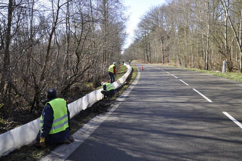2013 02 25 Montage du crapaudrome 07